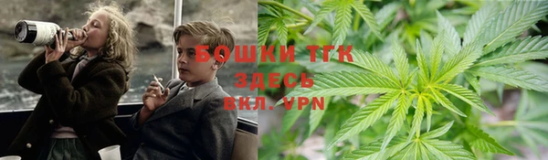 спиды Мегион