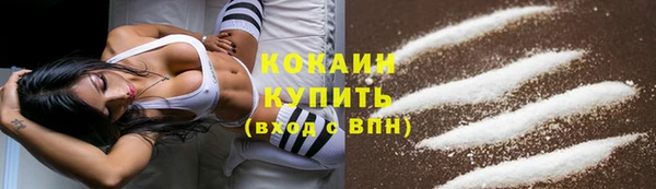 спиды Мегион
