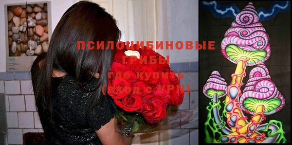 меф Медвежьегорск