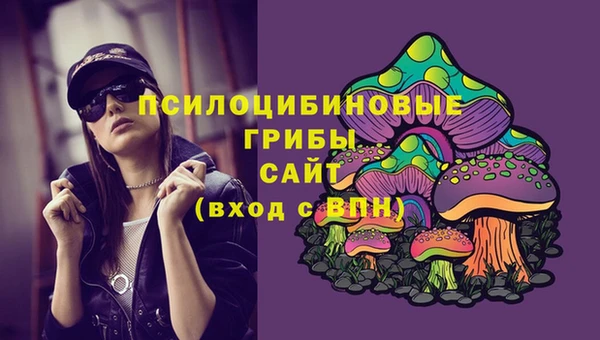 меф Медвежьегорск