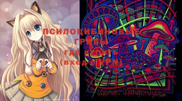 спиды Мегион