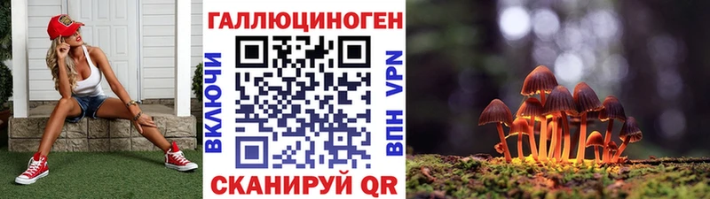 Купить где  Мосальск  Галлюциногенные грибы Psilocybe 